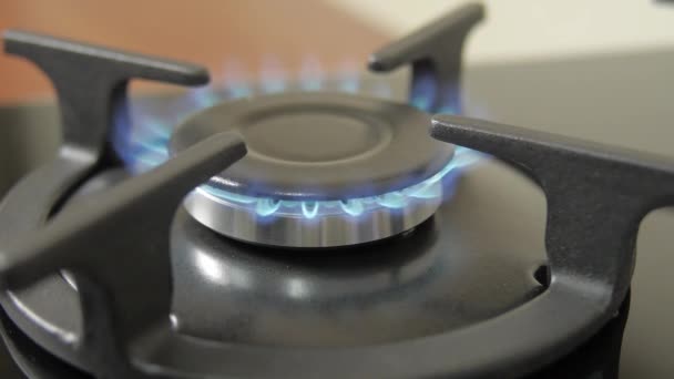 Close Side View Natural Blue Gas Ignites Burns Cooker Burner — Stock Video