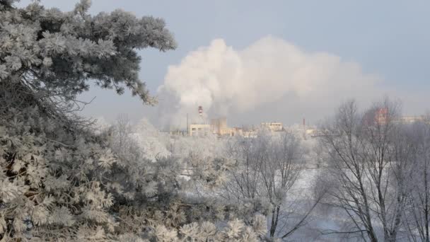 Contaminación Atmosférica Fábrica Humo Planta Sobre Fondo Azul Cielo Generación — Vídeo de stock