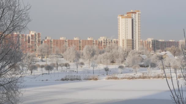 Зимний Солнечный День Открытом Воздухе Городской Парк Реки Зимний Пейзаж — стоковое видео