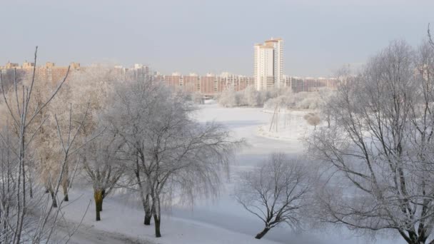 Зимний Солнечный День Открытом Воздухе Городской Парк Реки Зимний Пейзаж — стоковое видео