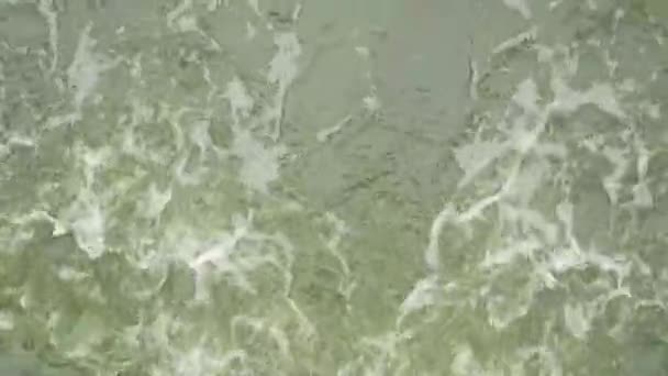 Het Turbulente Water Van Dam Stromend Water Kleine Dam — Stockvideo