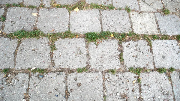 Texture Old Paving Slabs Photos Background — Stock Photo, Image