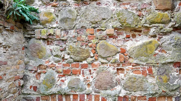 Het Patroon Van Een Stenen Muur Natuurlijke Texturen Oude Grodno — Stockfoto