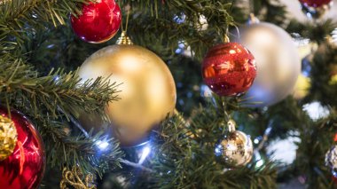 Köknar ağacı dalı kırmızı ve altın Noel topa 
