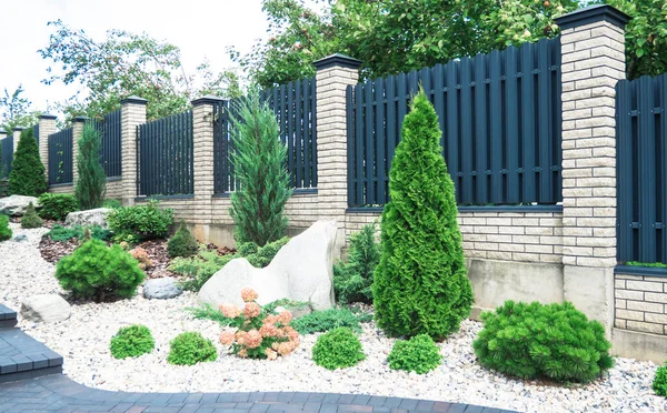 Profilli metal dokusu. Metal çit. Şehir peyzajı, metalden yapılmış modern bir çitin arka planında güzel bir thuja batılı..