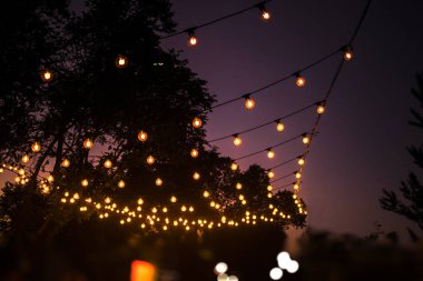 Mor gökyüzü arka plan ile dize ışıkları 