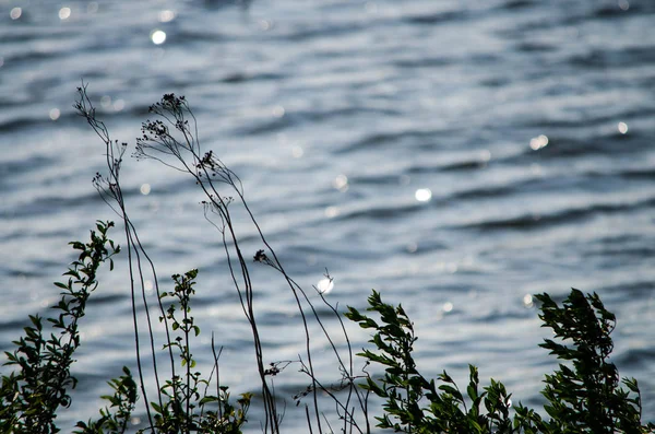 Natuur Water Versheid Blauw Water — Stockfoto