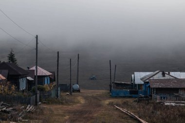 kırsal yol, ağaçlar ve araçların sis sabah ile