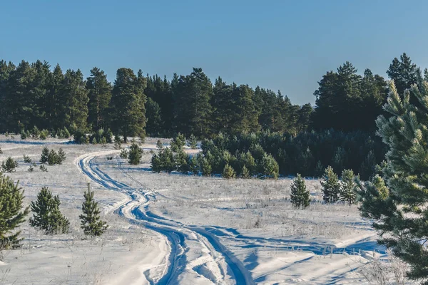 Road Fel Hullámos Fák Ski Race Időjárás Előrejelzés Göröngyös Úton Stock Kép