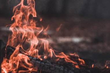 doğada ateş. Yangından bokeh. bulanık arka planlar. Alan sayısı.