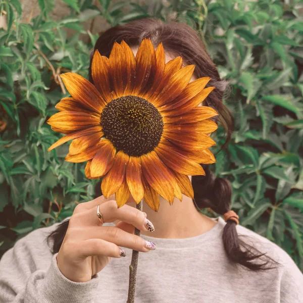 Girl hides her face behind a sunflower.
