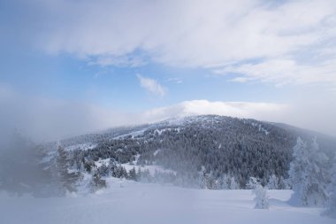  Karpat Dağları, kış, Ukrayna