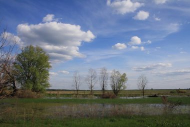 Güzel yaz manzara güneşli gün
