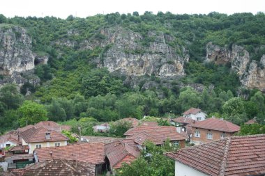 kırmızı çatılar yeşil ağaçları ve dağlarla çevrili güneşli gün ile evler 