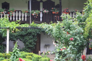 güneşli bir gün Beyaz Saray'da yakınındaki güzelleşmek bahçenin ısmarlayarak 