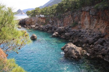 ısmarlayarak mavi denizde güneşli gün ile kayalık kıyı 