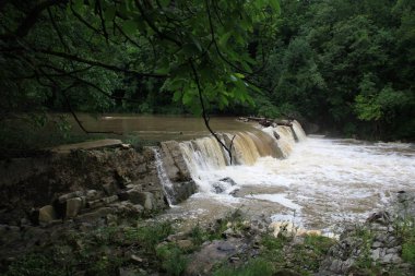 güneşli bir gün, ormanda soğuk çalkantılı nehir akar 