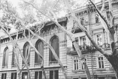 eski binalar ve ağaçlar ile sokak sahne