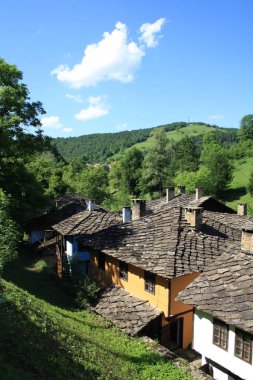 yeşil ağaçlar arasında gri çatılar ile güneşli gün evler 