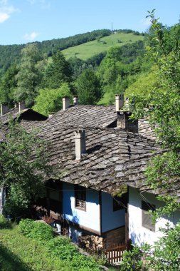 yeşil ağaçlar arasında gri çatılar ile güneşli gün evler 