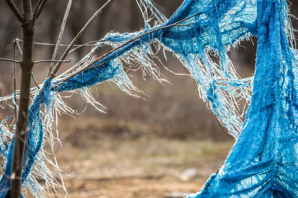 Plastic debris in a bush blowing in the wind.