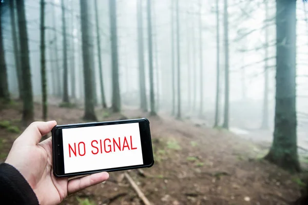 No signal in the misty forest