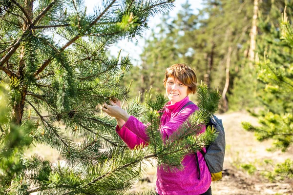 Smiling woman tears off cones on a pine.