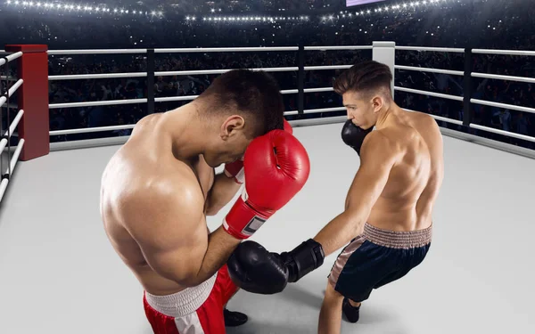 Dos Boxeadores Están Peleando Ring Boxeo Profesional —  Fotos de Stock