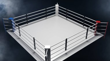 3B render boks yüzüğü.