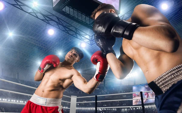 2人のボクサーがプロボクシングリングで戦っている — ストック写真