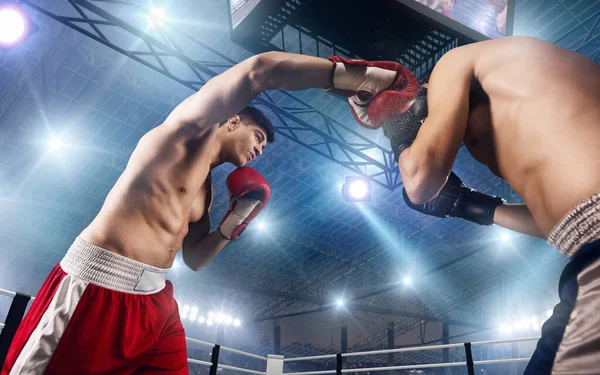 Dois Pugilistas Estão Lutando Ringue Boxe Profissional — Fotografia de Stock