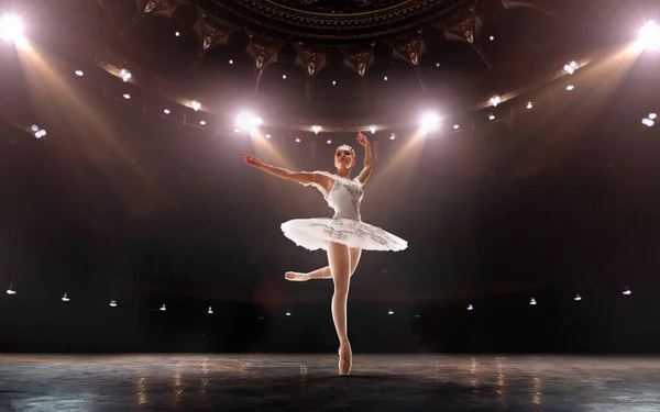 Ballet Classical Ballet Performed Couple Ballet Dancers — Stock Photo, Image