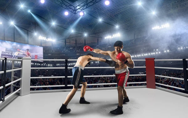 Dois Pugilistas Estão Lutando Ringue Boxe Profissional — Fotografia de Stock