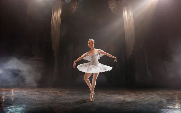 Ballet Ballet Clásico Realizado Por Par Bailarines — Foto de Stock