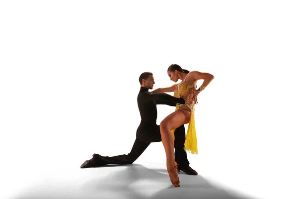 Pareja Bailarines Realizan Danza Latina Sobre Fondo Blanco —  Fotos de Stock