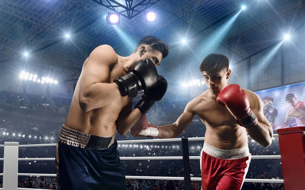 Two Boxers Fighting Professional Boxing Ring — Stock Photo, Image