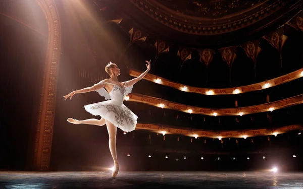 Ballet Ballet Clásico Realizado Por Par Bailarines — Foto de Stock