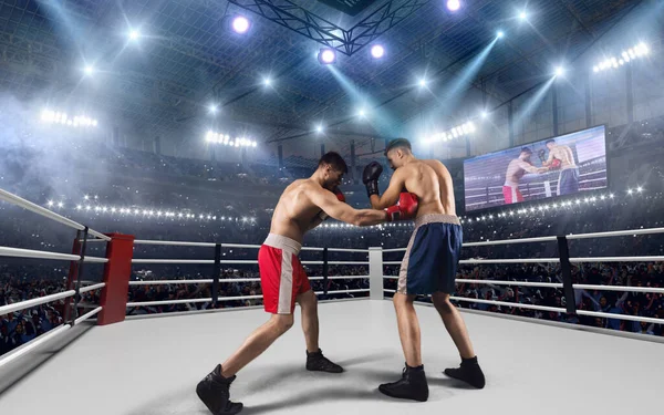 Boksör Profesyonel Boks Ringinde Dövüşüyor — Stok fotoğraf