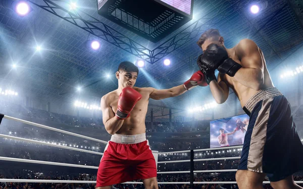 Dos Boxeadores Están Peleando Ring Boxeo Profesional —  Fotos de Stock