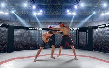MMA dövüşçüleri. Dövüş Şampiyonası.