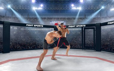 MMA dövüşçüleri. Dövüş Şampiyonası.