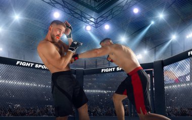 MMA dövüşçüleri. Dövüş Şampiyonası.