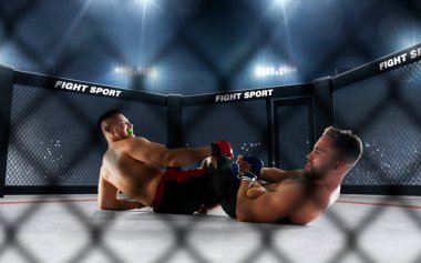 MMA dövüşçüleri. Dövüş Şampiyonası.