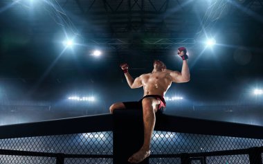 MMA dövüşçüsü. Dövüş Şampiyonası.