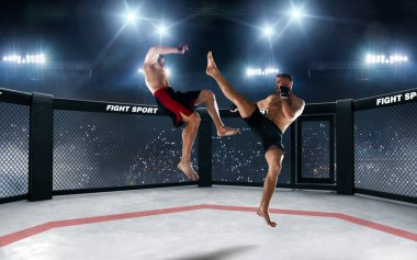 MMA dövüşçüleri. Dövüş Şampiyonası.