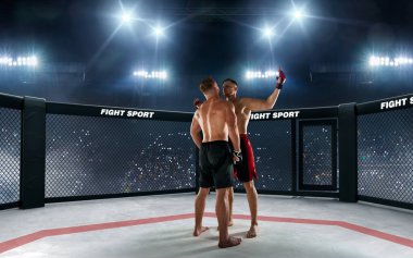 MMA dövüşçüleri. Dövüş Şampiyonası.
