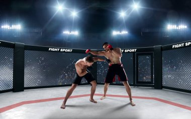MMA dövüşçüleri. Dövüş Şampiyonası.