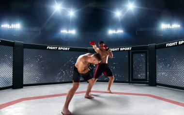 MMA dövüşçüleri. Dövüş Şampiyonası.