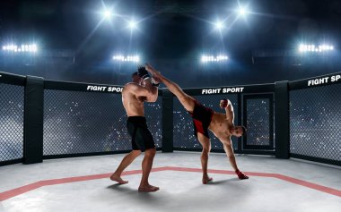 MMA dövüşçüleri. Dövüş Şampiyonası.