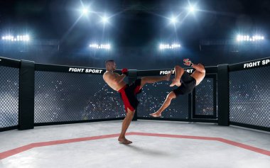 MMA dövüşçüleri. Dövüş Şampiyonası.